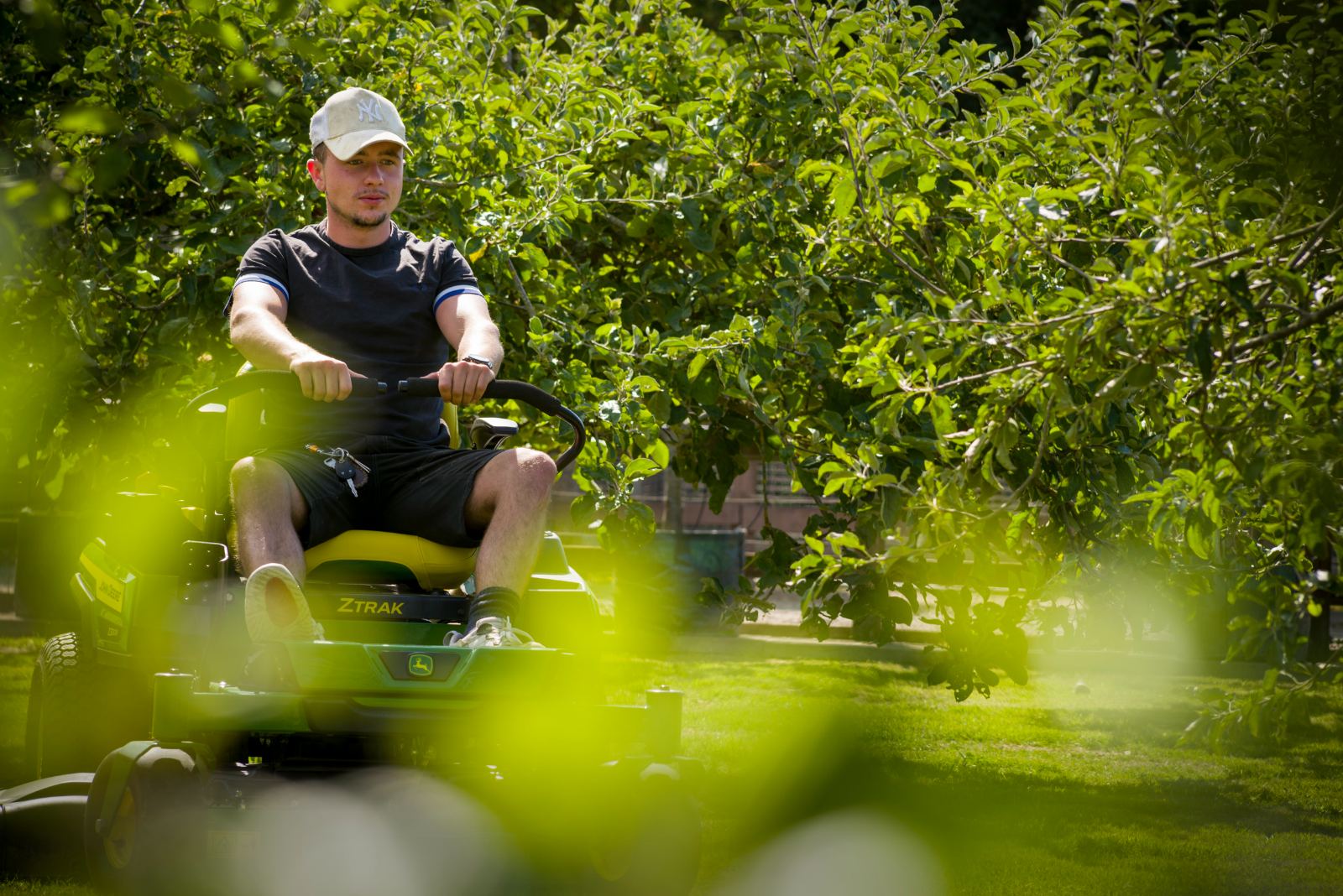 Mowing an orchard lawn in summer
