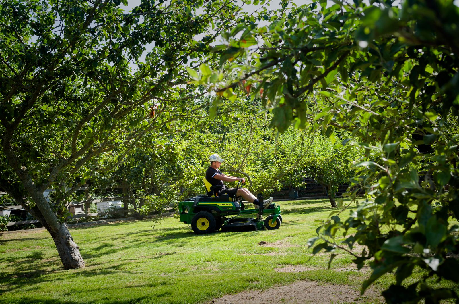 Mowing the orchard in summer